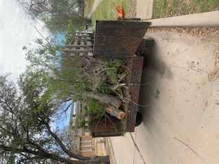 Dump trailer loaded with tree debris